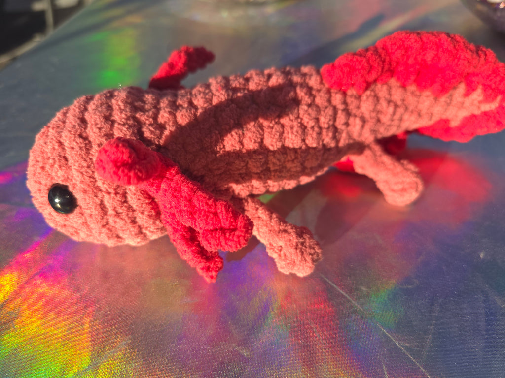 Large Axolotl